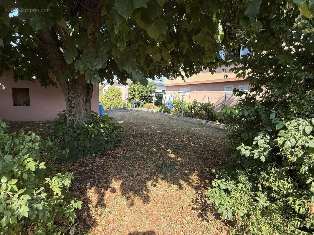 Maison à BIESHEIM
