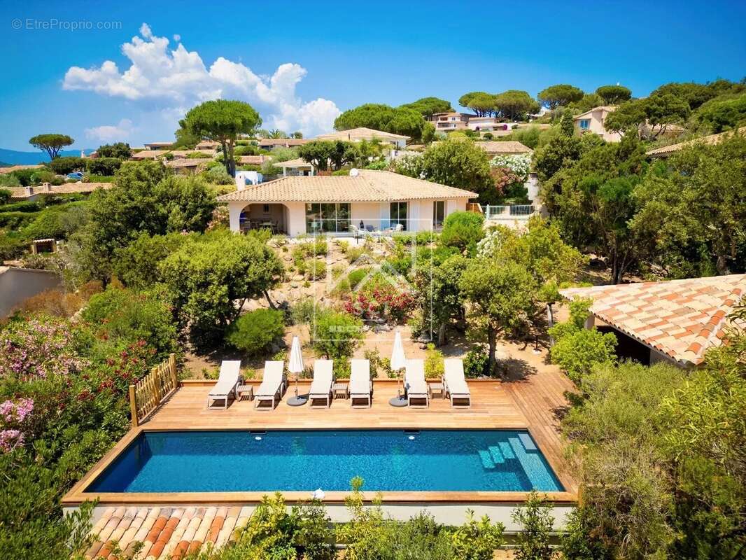 Maison à PORTO-VECCHIO