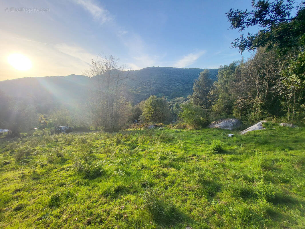 Terrain à FORCIOLO