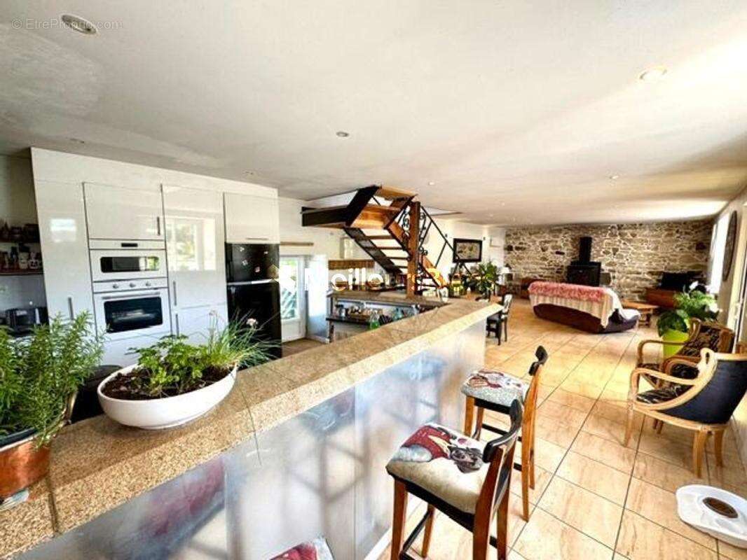 Maison en pierres + appartement/gîte + hangar + dépendances - photo 4