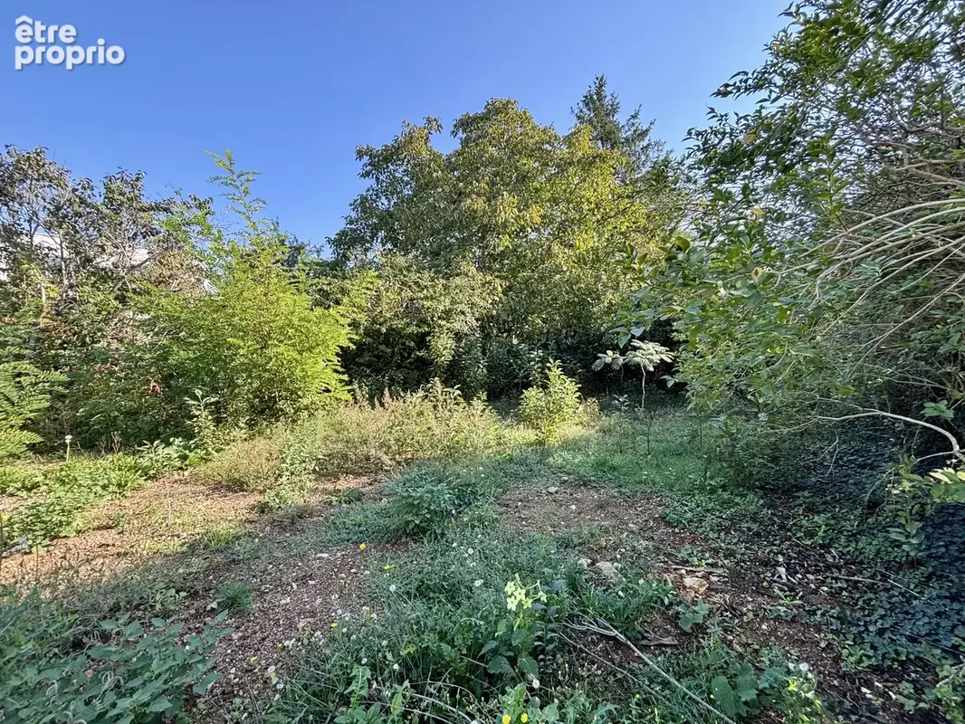 Terrain à SAINT-BENOIT