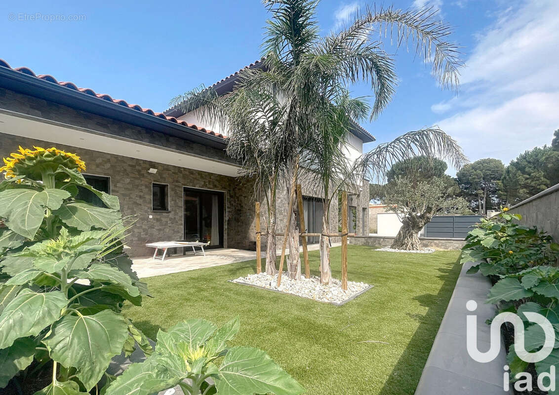 Photo 4 - Maison à ELNE