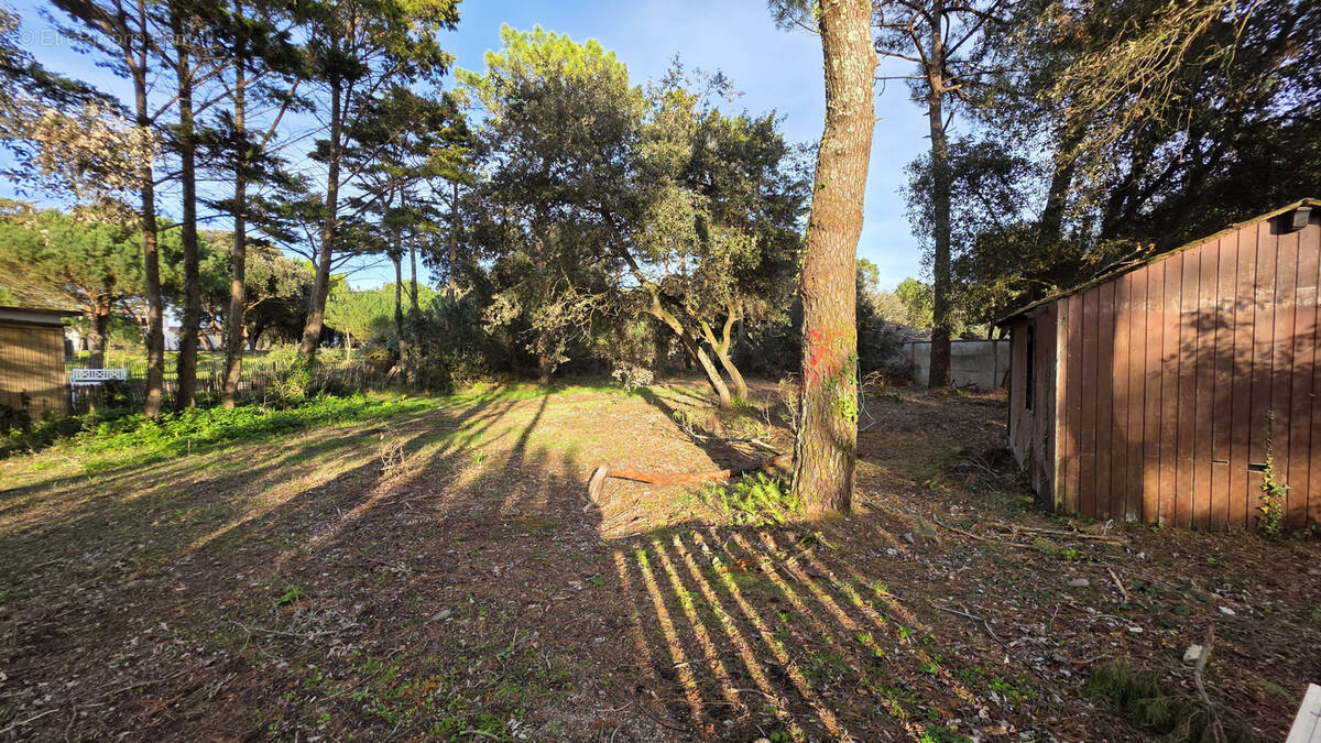 Terrain à SAINT-GEORGES-D'OLERON