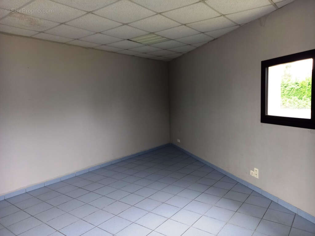 Commerce à MONTOURS