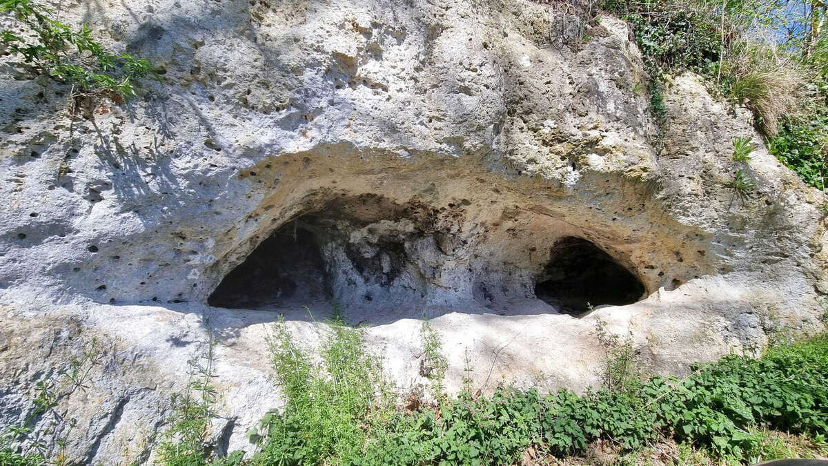 Très beau château datant du XVI ème entièrement rénové au milieu de 50 hectares et ses trois lacs situé dans l - photo 77