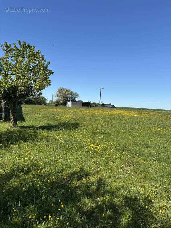 Terrain à CLOUE