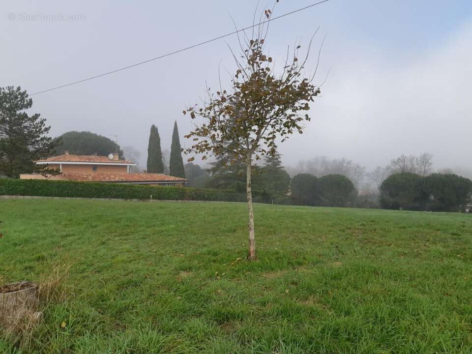 Terrain à SAINT-JEAN