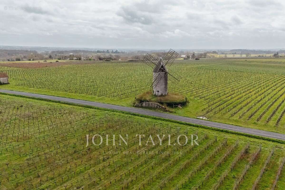 Maison à SAINT-EMILION