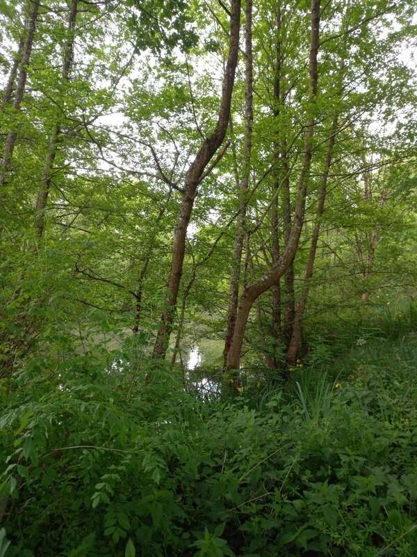 Terrain à COURTEMAUX