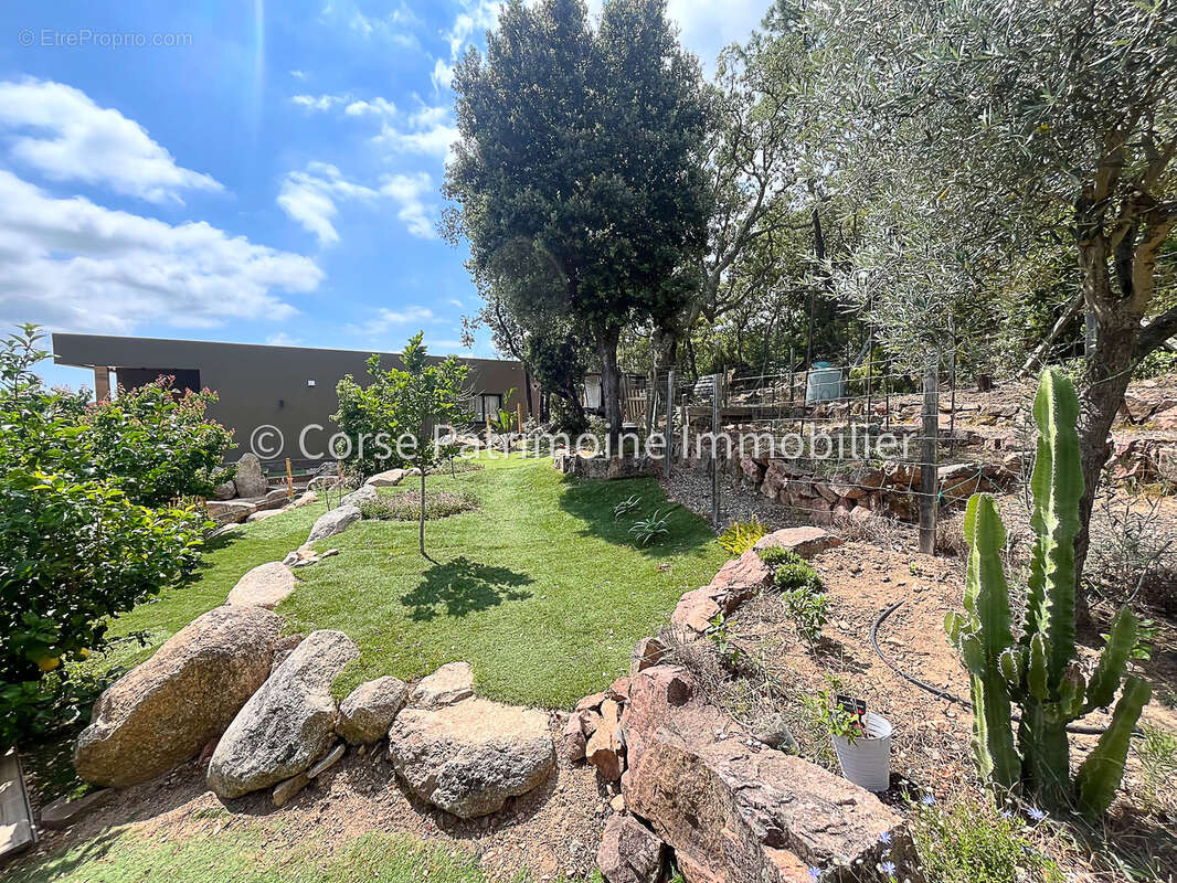 Maison à PORTO-VECCHIO