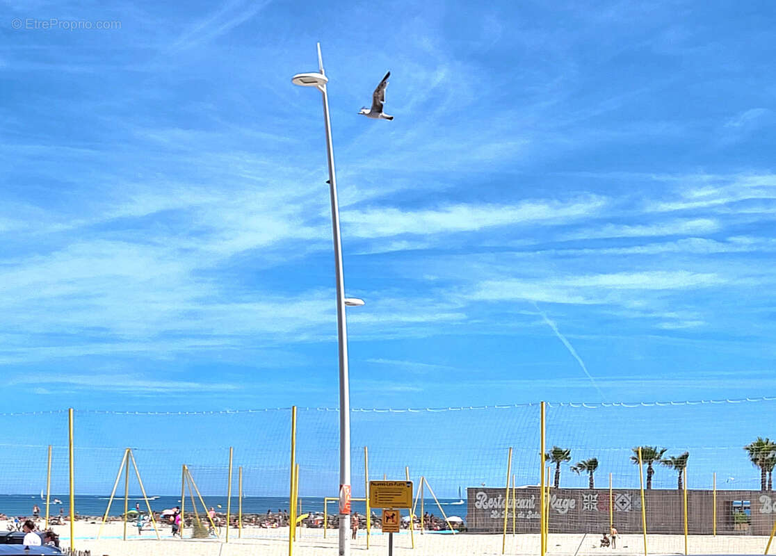 Commerce à PALAVAS-LES-FLOTS