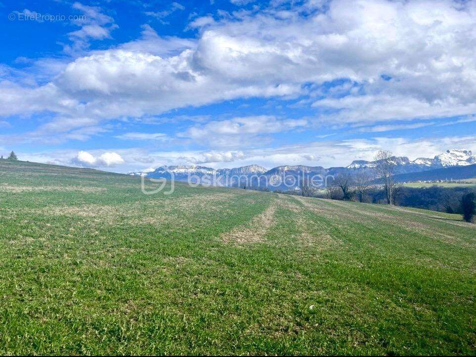 Terrain seul ou deux parcelles de 1000m² et 1200m² constructible plein sud – Vue plongeante sur le château de Lovagny  – À 15 mi - photo 2
