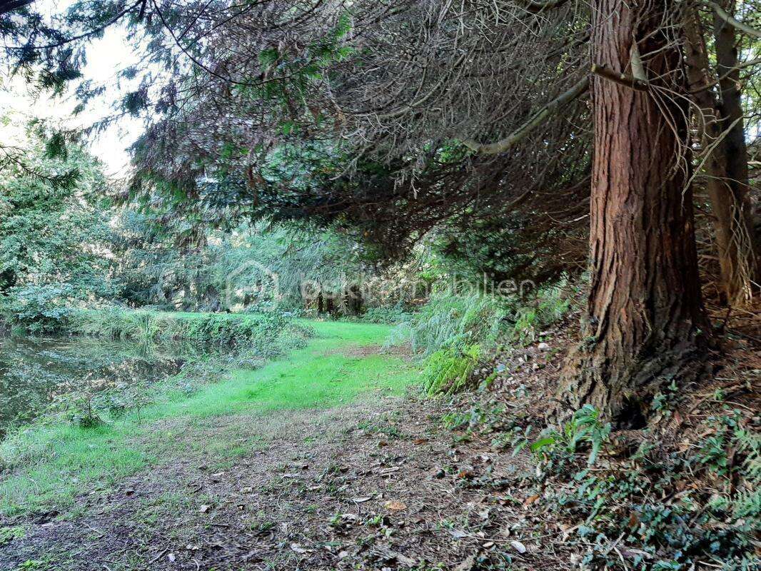 Terrain à COGNAC-LA-FORET