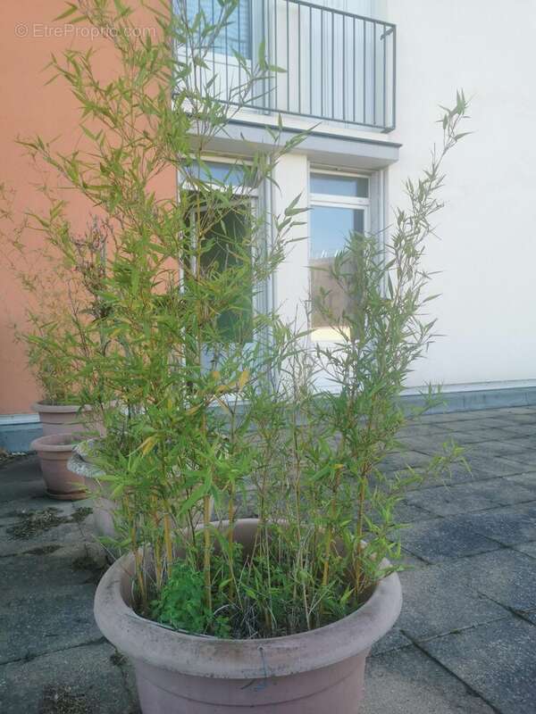 Appartement à LONGVIC