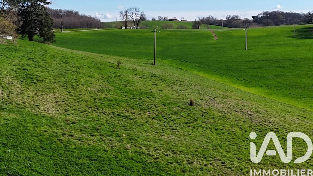 Photo 1 - Terrain à GENSAC