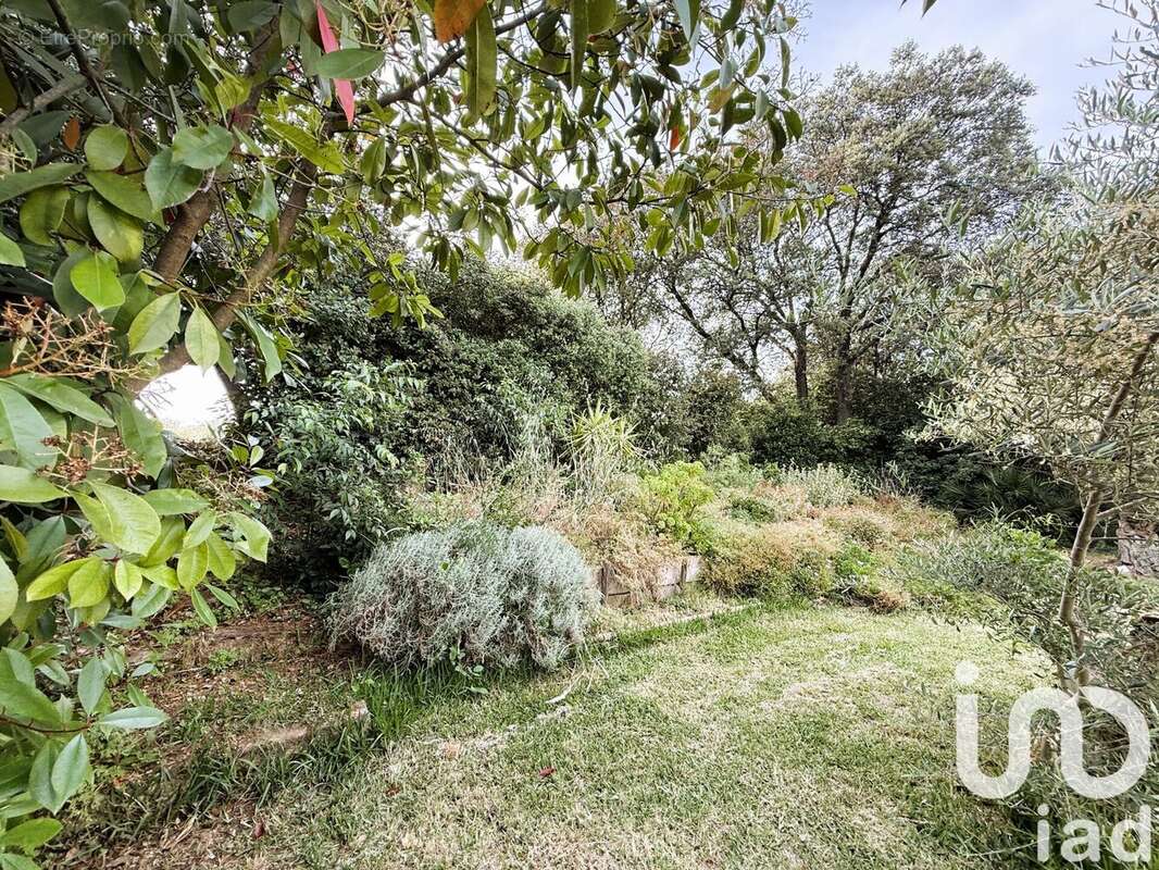 Photo 4 - Maison à SAINT-GILLES