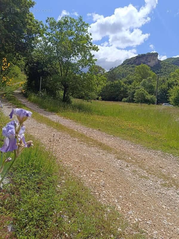Terrain à SAVOILLAN