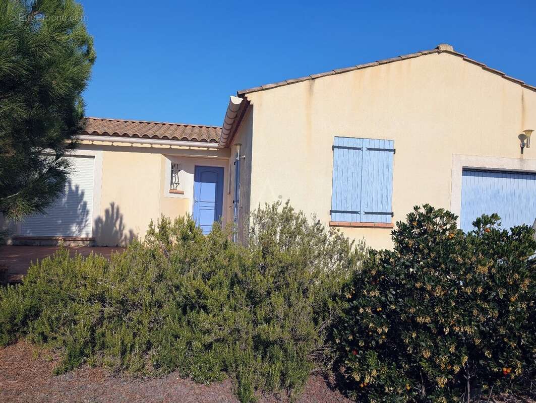 Maison à MOUSSAN