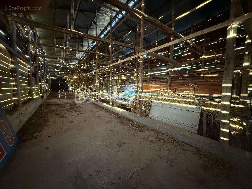 Maison à SAINT-HILAIRE-DU-ROSIER