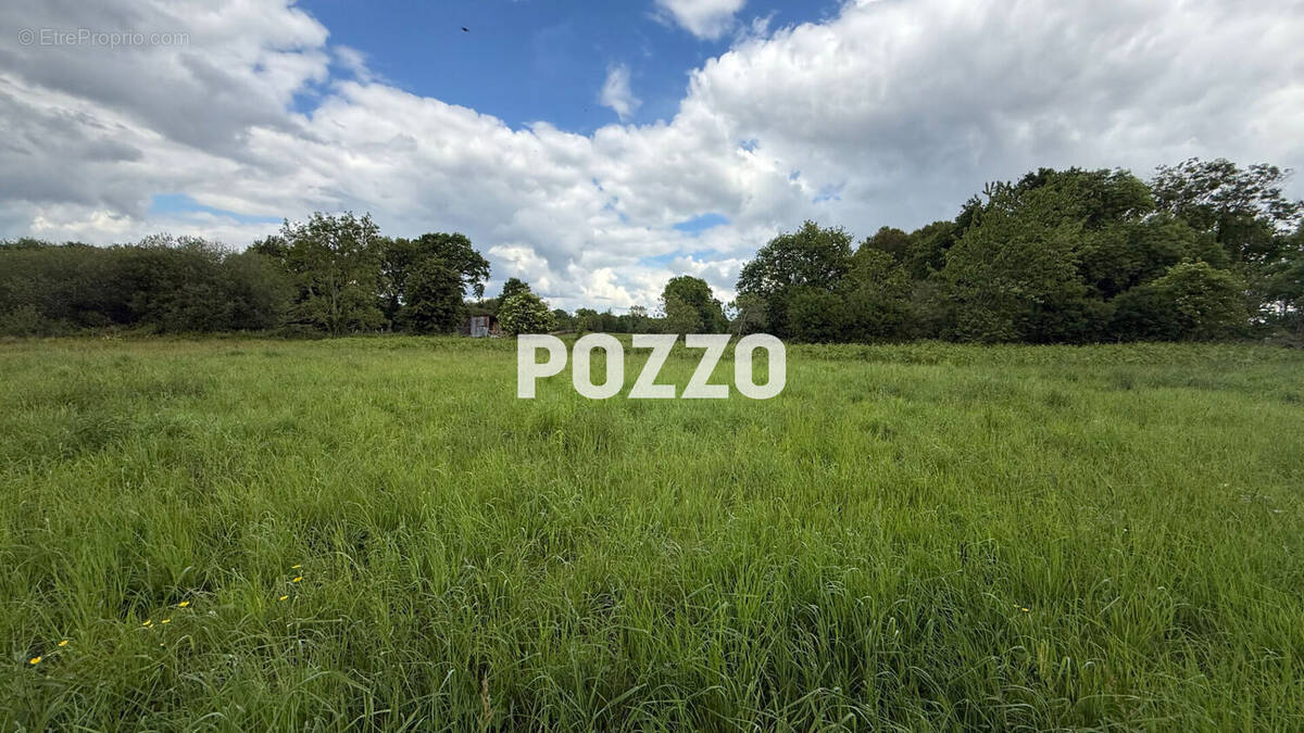 Terrain à JULLOUVILLE