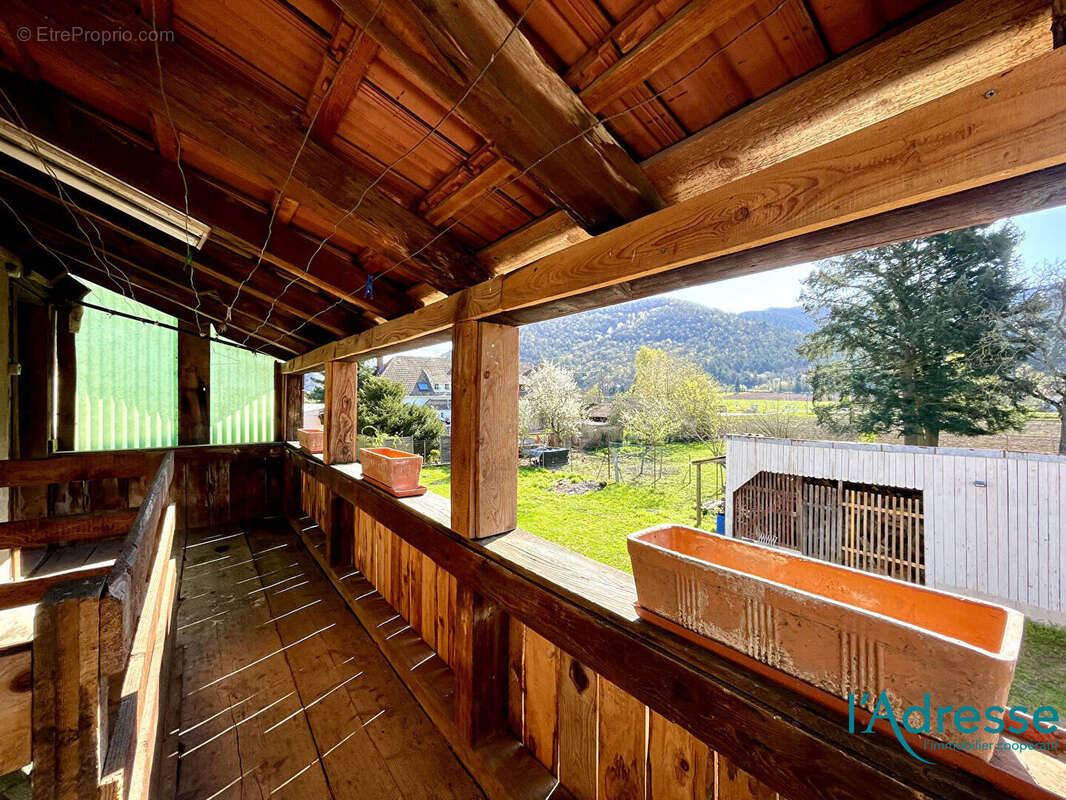 Maison Wintzenheim avec dépendance - photo 4
