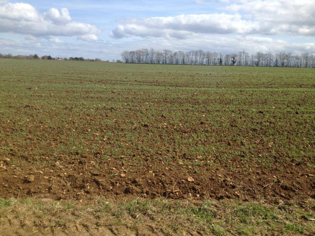 Terrain à BRETTEVILLE-SUR-LAIZE