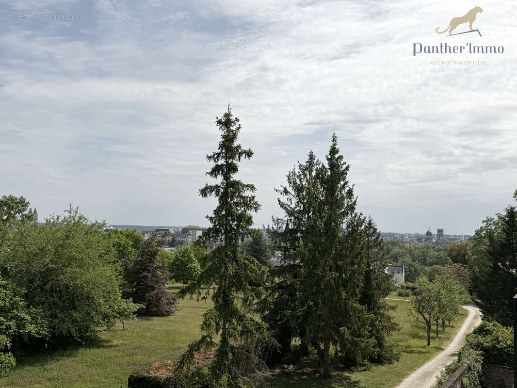 Appartement T2 vue sur Tours, 44m2, cave, parking, très calme. - photo 6