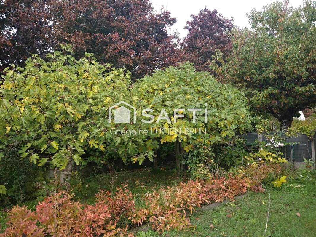 Photo 3 - Maison à SAINT-AVERTIN