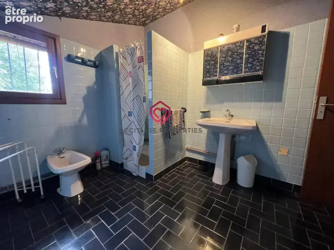 Maison à Saint Lizier avec garage et jardin - photo 11