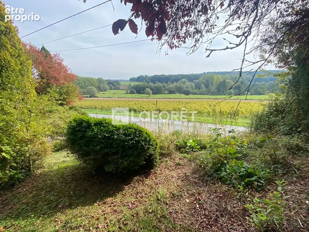 A 10 minutes d'hesdin - photo 14