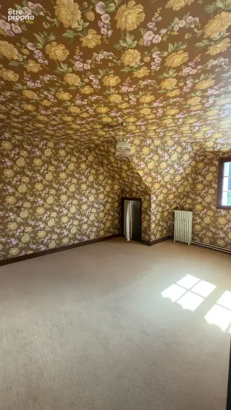 Grande maison avec dépendance - photo 19