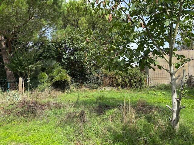 Terrain à LA TREMBLADE