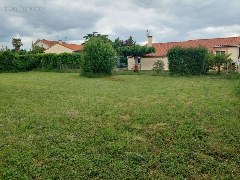 Terrain à FENOUILLET