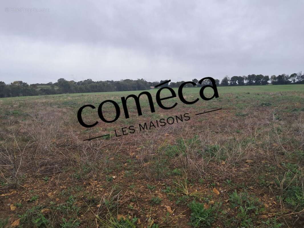 Terrain à SAINT-BENOIST-SUR-MER