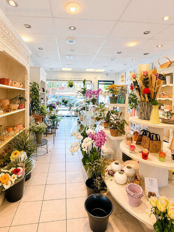 Local commercial 73m2 Fenouillet- Emplacement Ideal - photo 3