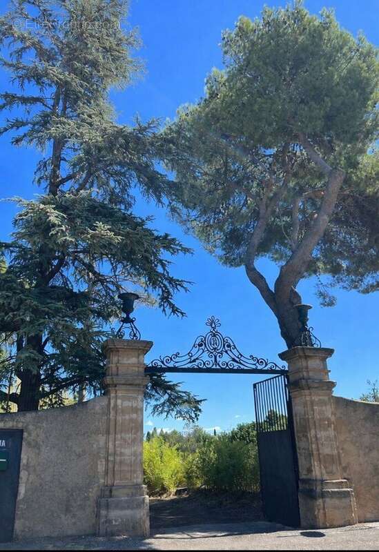 Photo 2 - Maison à SAINT-ANDRE-DE-SANGONIS