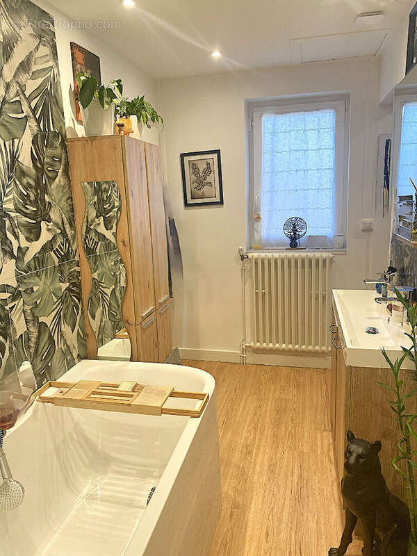 Appartement à NEUVILLE-SUR-SAONE
