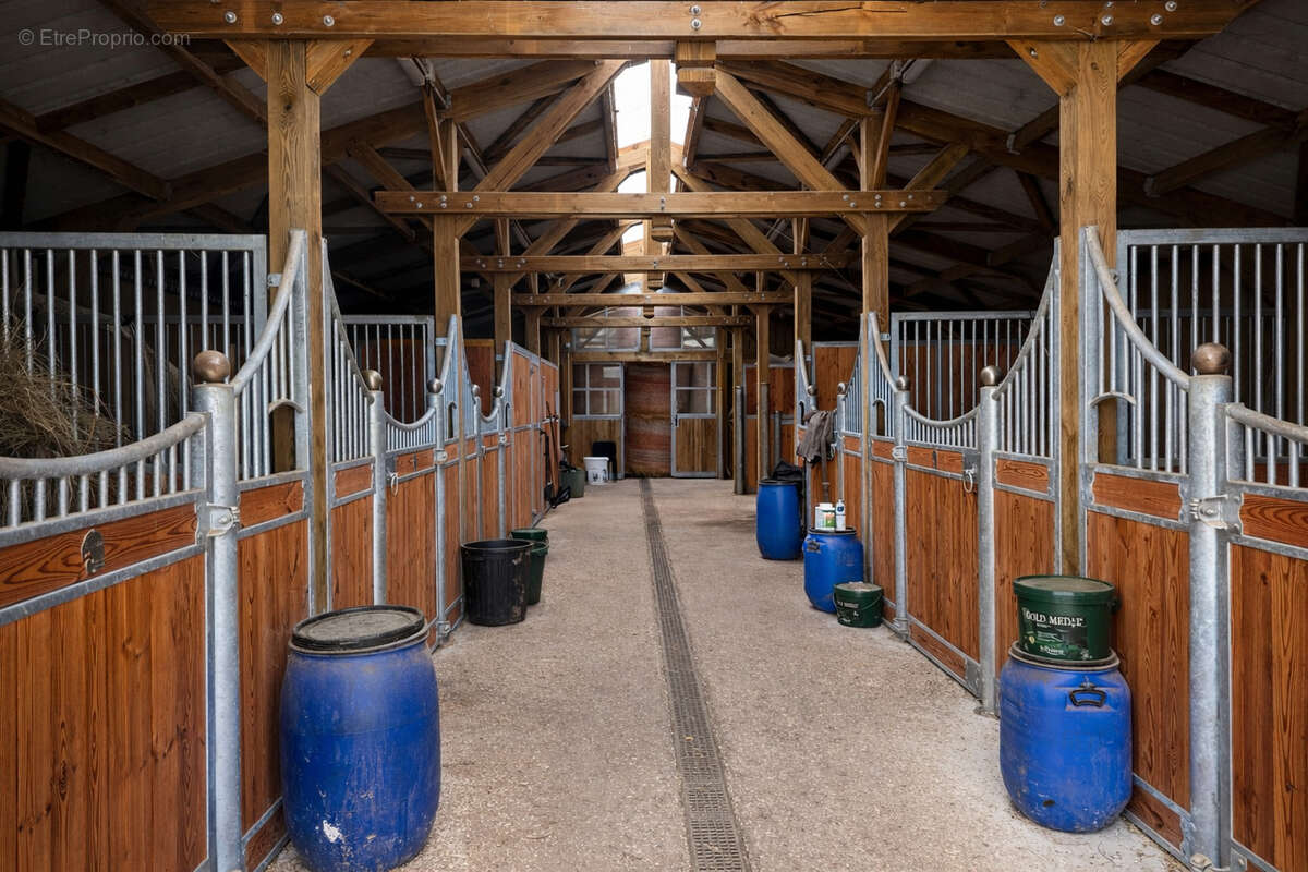 Propriété équestre de 5,5 hectares - photo 8