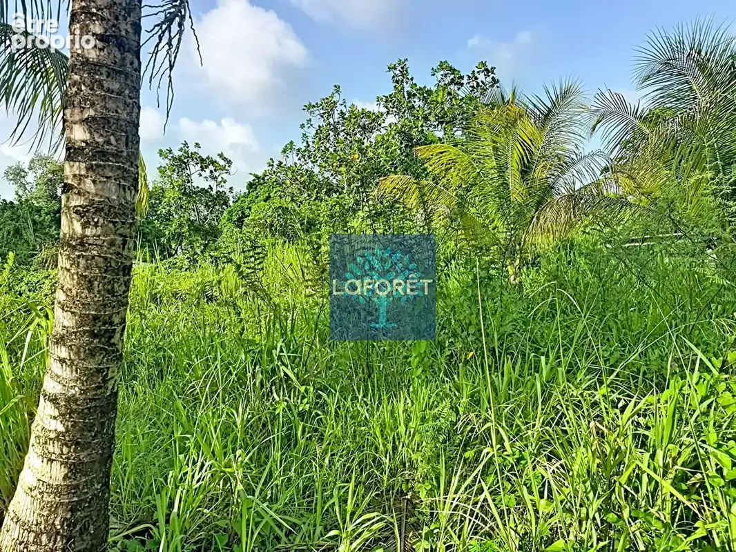 A vendre : Terrain constructible de 1 694 m² environ au Lamentin - photo 4