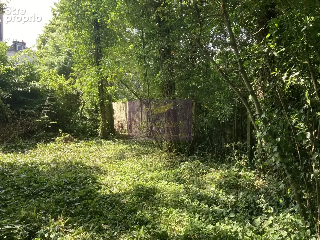 CLE MANS - SAINT PAVIN -  Mancelle de 193 m2. Jardin Secret de 393 m2, un potentiel exceptionnel. - photo 13