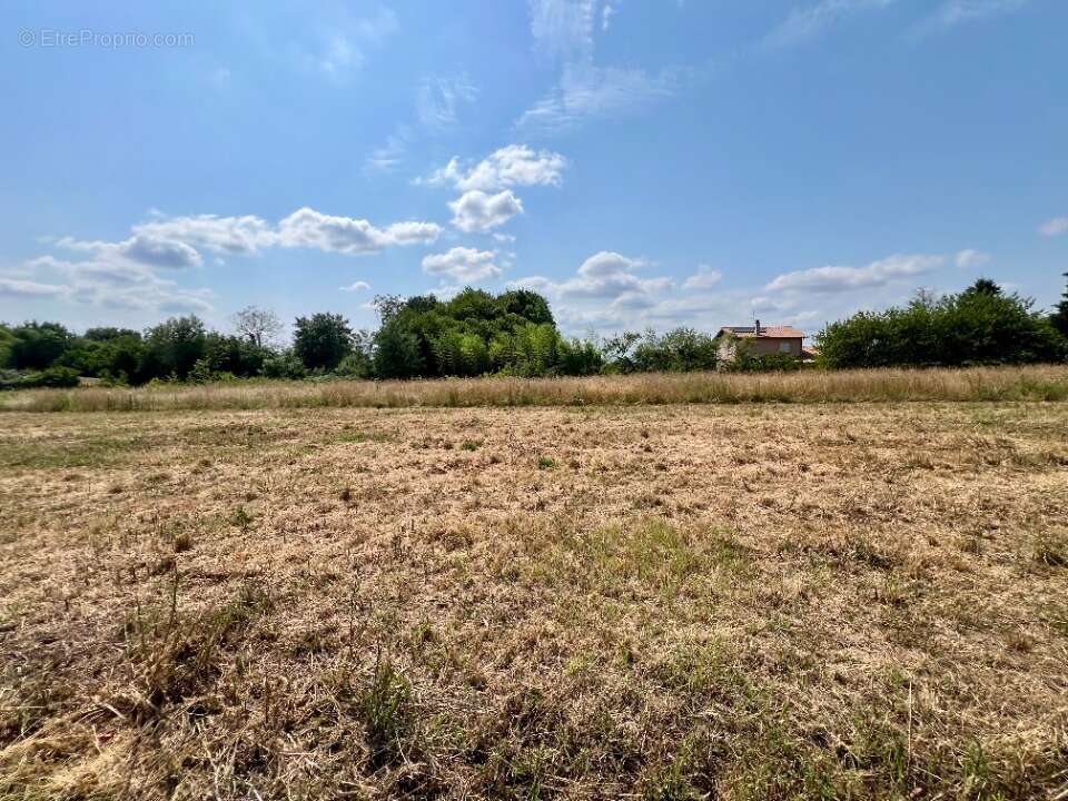 Terrain 362 m² à Replonges  - photo 2
