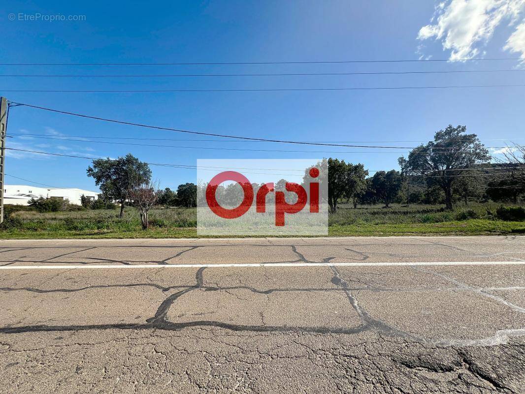 Terrain à PORTO-VECCHIO