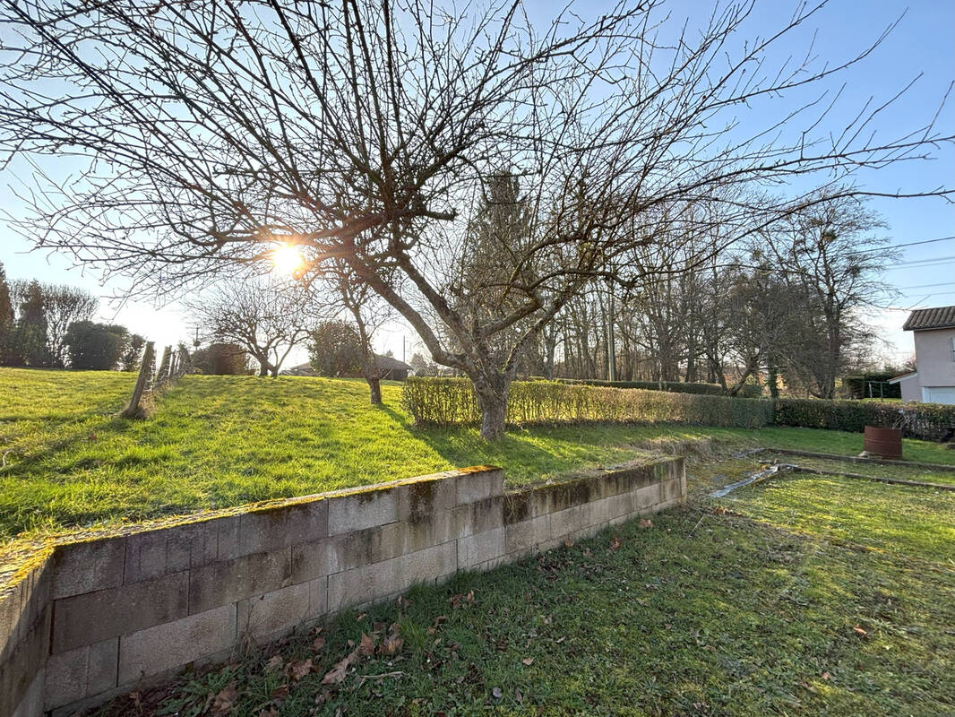 Terrain à SAINT-CYR-SUR-MENTHON