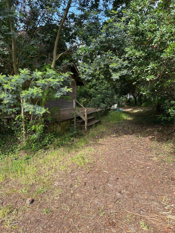Terrain à LEGE-CAP-FERRET