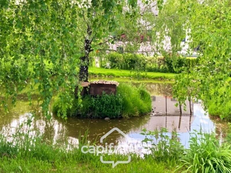 Dpt nièvre (58), MILLAY, Maison à vendre 9 pièces, 207m², 1.71 ha, piscine, dépendances, Morvan - photo 19