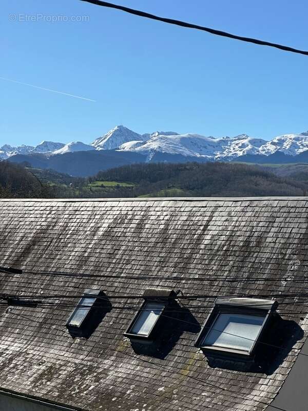 Propriete à vendre 11 pièces ORINCLES (65) - photo 23