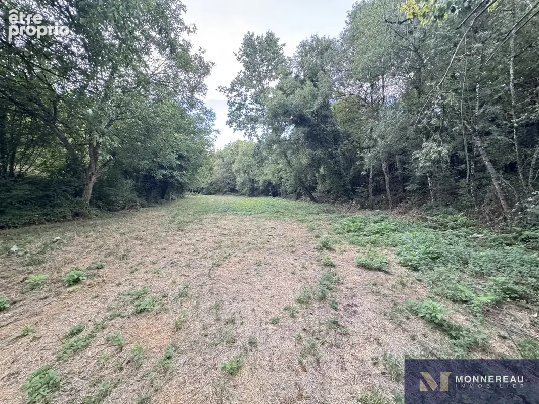 Propriété equestre avec 7ha - photo 22