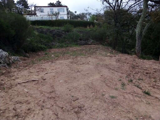 Terrain à VIDAUBAN