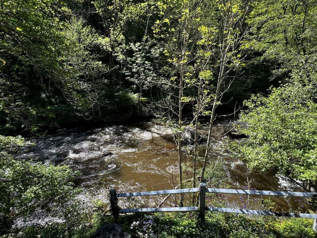La vie sur le fleuve, où l'historique côtoie l'ultramoderne - photo 18