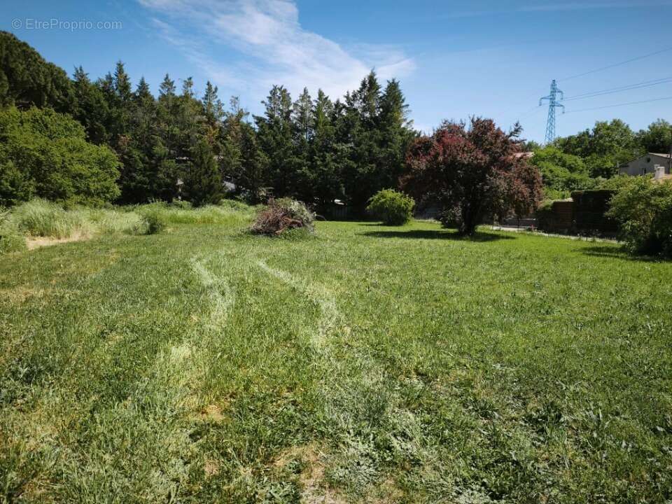 Terrain à SAINT-MAXIMIN-LA-SAINTE-BAUME